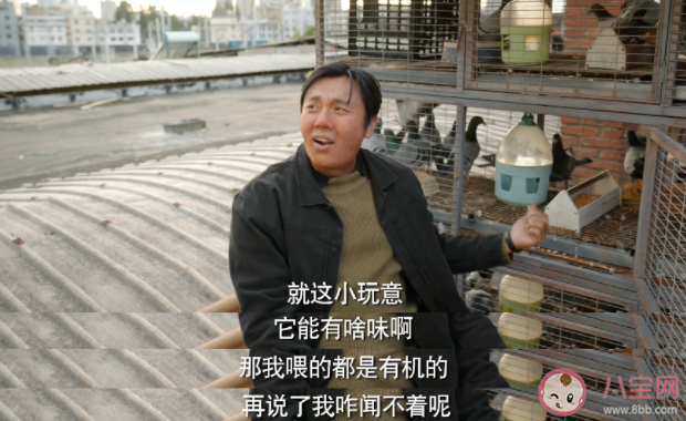 《漫長的季節》追劇日歷 《漫長的季節》劇情介紹