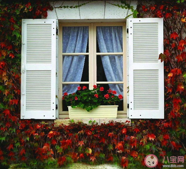 不愛開窗的人更容易腦萎縮嗎 腦萎縮的癥狀有哪些