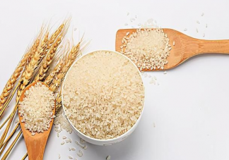 米和面哪個更讓人發胖 吃面更容易讓人發胖嗎