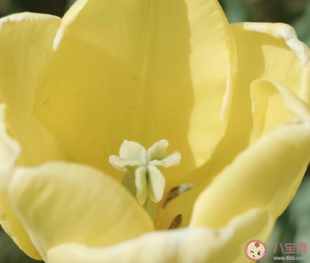 你會介意另一半文化水平低嗎 會和比自己文化低的人談戀愛嗎 你會介意另一半文化水平低嗎 會和比自己文化低的人談戀愛嗎
