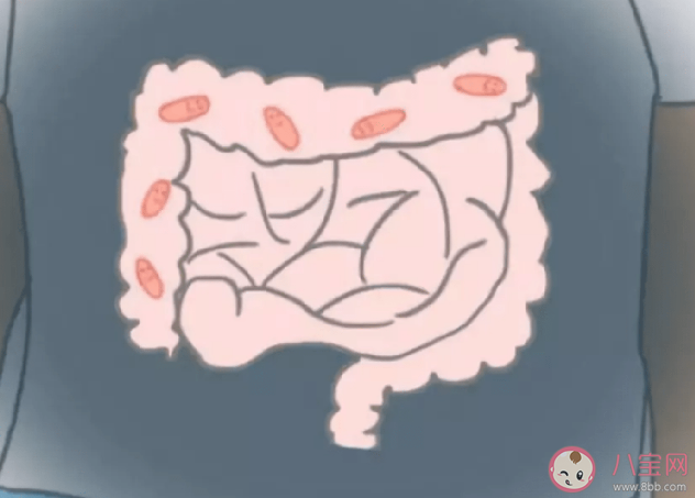 為什么吃蔬菜后放屁會變多 人為什么會放屁