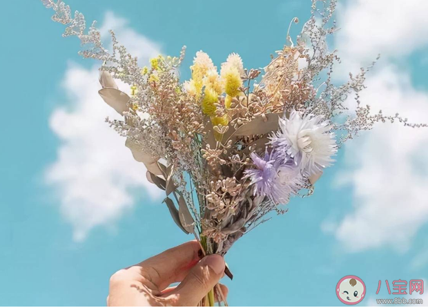 戀愛關系的本質是什么 愛情的本質是等值交換嗎