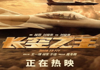 《長空之王》影評首波出爐 《長空之王》觀后感來了