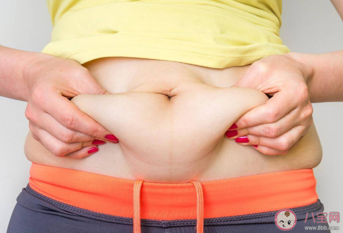 內(nèi)脂過多會降低智商嗎 內(nèi)臟脂肪過多有什么危害