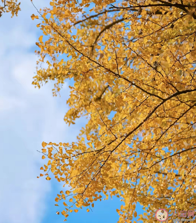 為什么很多人不發朋友圈了 關閉朋友圈一年后的變化有哪些