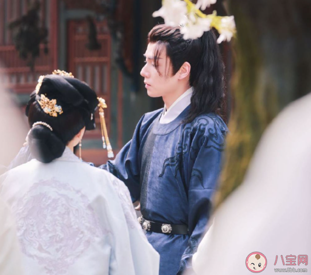 《惜花芷》原著小說是什么 《惜花芷》講的是什么故事