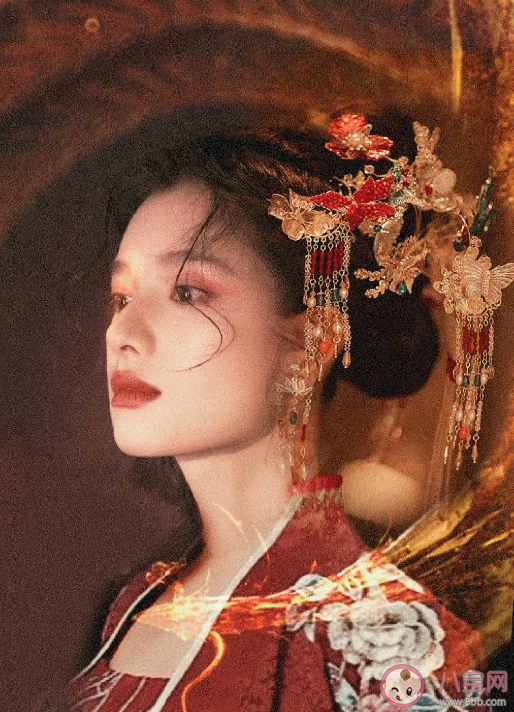 《惜花芷》原著小說內容是什么 《惜花芷》故事劇情梗概