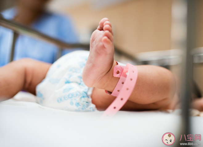 專家建議給生孩子的人發(fā)薪水 這個建議合理嗎