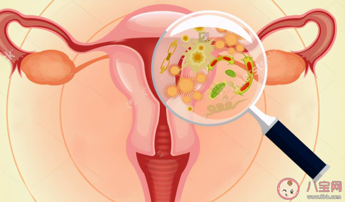 HPV高危型vs低危型感染有什么區別 女性感染HPV概率有多高