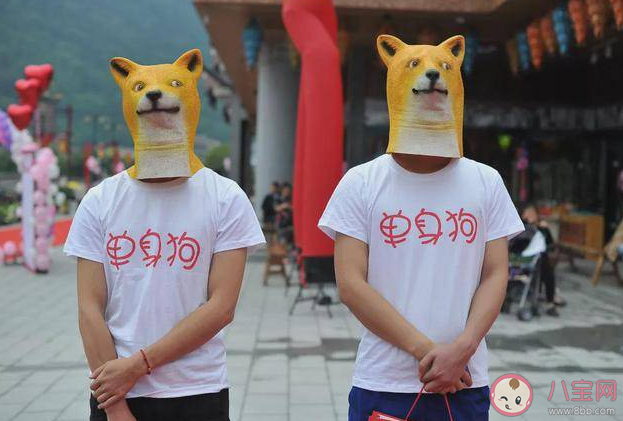 長時間單身會上癮嗎 職場人真的很難脫單嗎