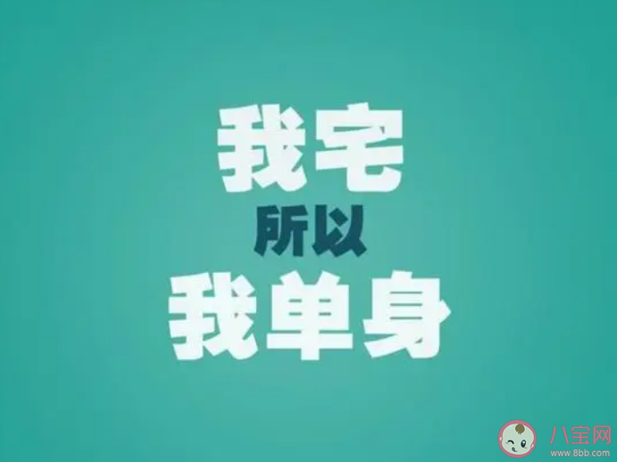 長時間單身會上癮嗎 職場人真的很難脫單嗎