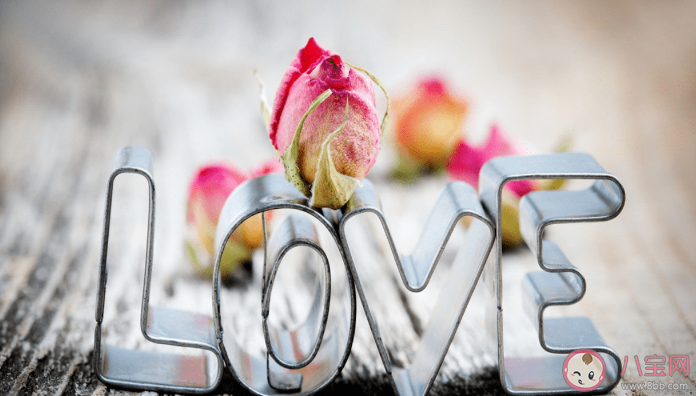 付出全部的感情真的值得嗎 愛情中不顧一切的付出值得嗎