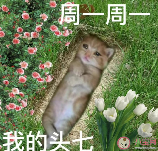 周一綜合征心情文案句子 周一綜合征朋友圈心情說說 周一綜合征心情文案句子 周一綜合征朋友圈心情說說