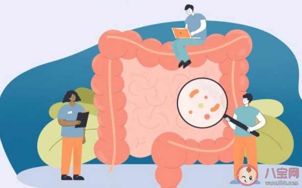 腸道細(xì)菌可以影響顏值嗎 腸道菌群失調(diào)會導(dǎo)致哪些疾病 腸道細(xì)菌可以影響顏值嗎 腸道菌群失調(diào)會導(dǎo)致哪些疾病