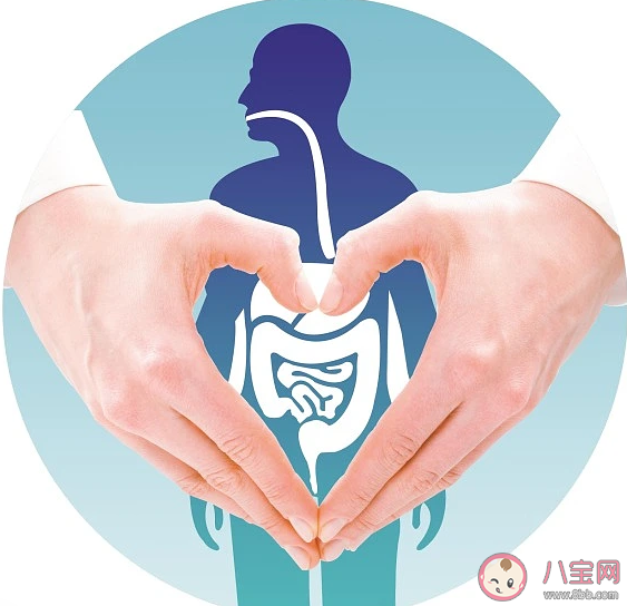 腸道真的能影響大腦發(fā)育嗎 影響腸道健康的有哪些因素 腸道真的能影響大腦發(fā)育嗎 影響腸道健康的有哪些因素