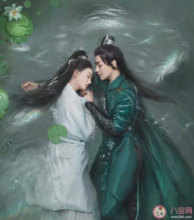 護心十五集前后不是一個編劇 護心一共有幾個編劇 護心十五集前后不是一個編劇 護心一共有幾個編劇