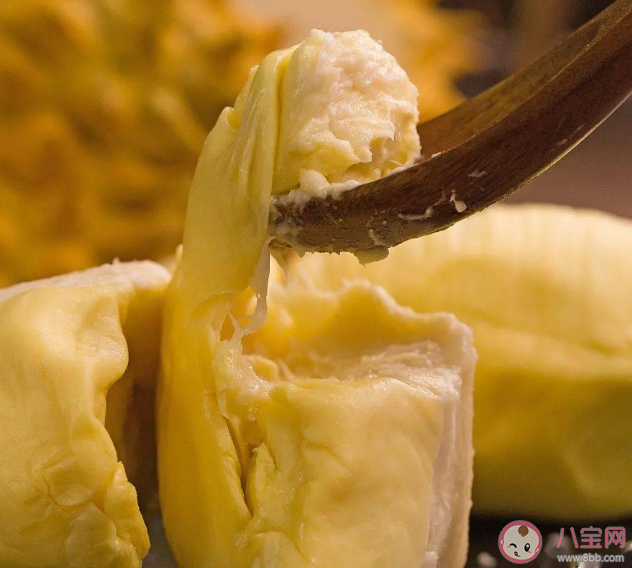 不同榴蓮口感有什么差別 榴蓮供應增多為什么價格卻越來越貴