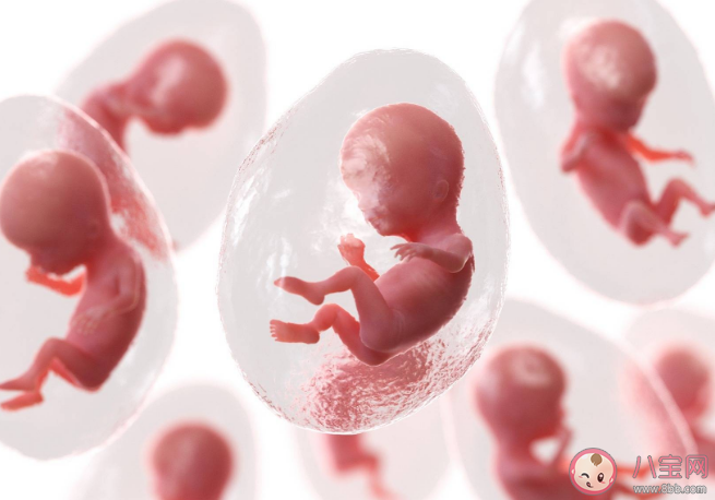 遼寧省輔助生殖或將進醫保是真的嗎 輔助生殖項目納入醫保為什么實施難