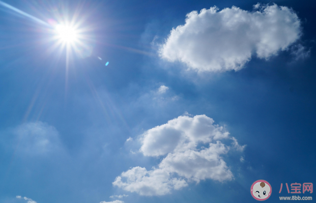 身上脂肪多的人更耐熱嗎 如何提高身體的耐熱能力 身上脂肪多的人更耐熱嗎 如何提高身體的耐熱能力