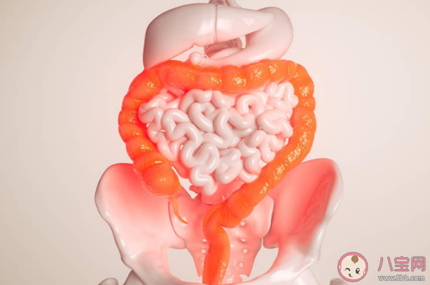 哪些習(xí)慣會影響腸道健康 如何養(yǎng)好腸道微生物