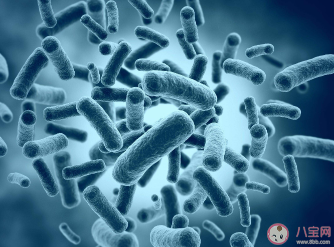 哪些習(xí)慣會影響腸道健康 如何養(yǎng)好腸道微生物