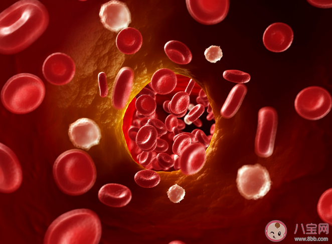 久坐超2小時就有血栓風險 血栓形成有哪些征兆 久坐超2小時就有血栓風險 血栓形成有哪些征兆