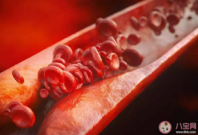 久坐超2小時就有血栓風險 血栓形成有哪些征兆 久坐超2小時就有血栓風險 血栓形成有哪些征兆