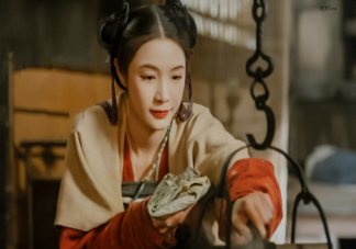《微雨燕雙飛》原著小說是什么 《微雨燕雙飛》講的是什么故事