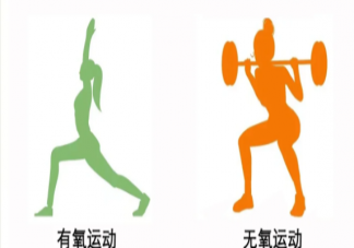 減肥為什么要循序漸進 有哪些公認的減肥技巧