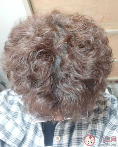 為啥人類進化出卷發 為什么有些人天生卷發 為啥人類進化出卷發 為什么有些人天生卷發