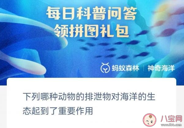 下列哪種動(dòng)物的排泄物對(duì)海洋的生態(tài)起到了重要作用 神奇海洋6月13日答案