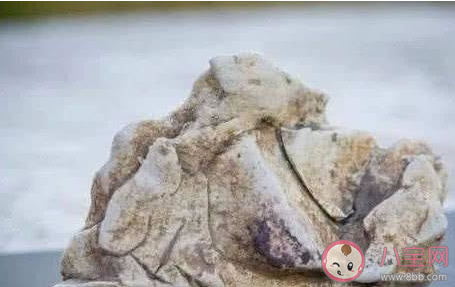 下列哪種動(dòng)物的排泄物對(duì)海洋的生態(tài)起到了重要作用 神奇海洋6月13日答案