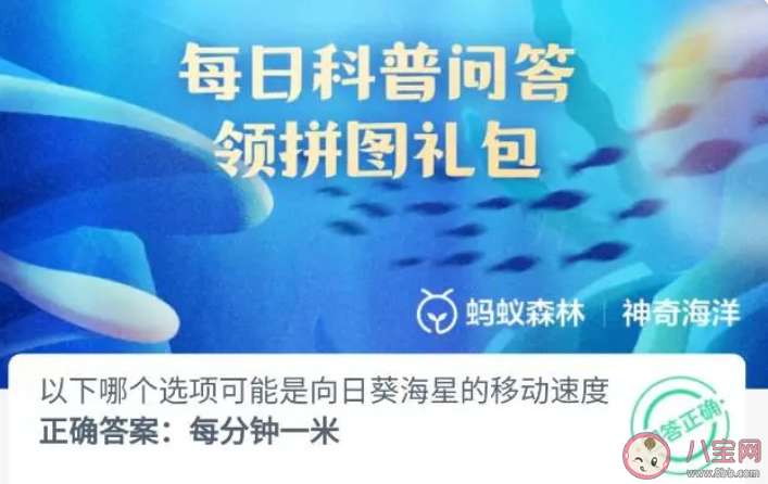 以下哪個選項可能是向日葵海星的移動速度 神奇海洋6月15日答案