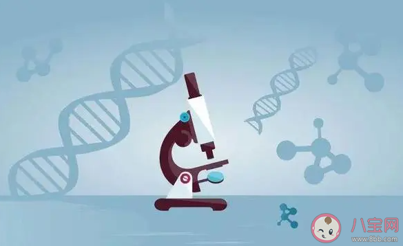 孫子被鄰居稱不像他爸鑒定非親生 孩子一定和父母長得很像嗎