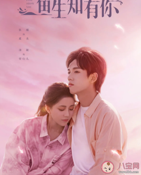 《魚生只有你》追劇日歷 《魚生只有你》人物關系圖