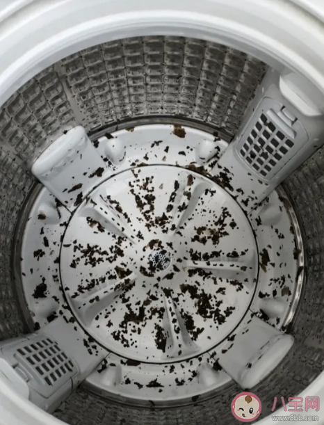 洗衣機每月都要清潔 洗衣機日常清洗攻略