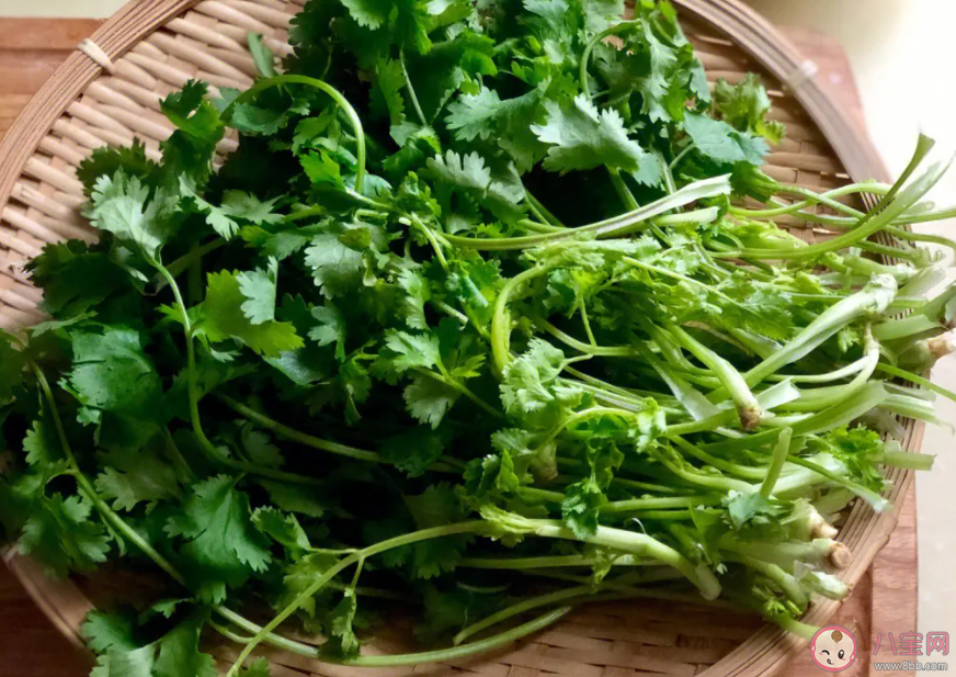 糖尿病人能吃香菜嗎 香菜吃了有什么好處