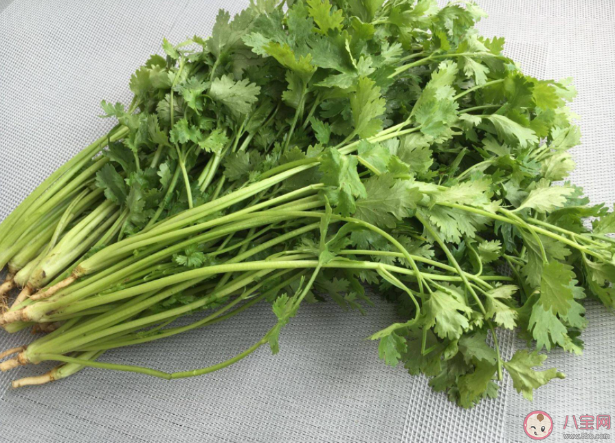糖尿病人能吃香菜嗎 香菜吃了有什么好處