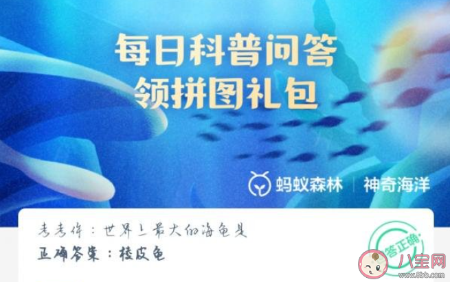 考考你世界上最大的海龜是什么 神奇海洋6月20日答案