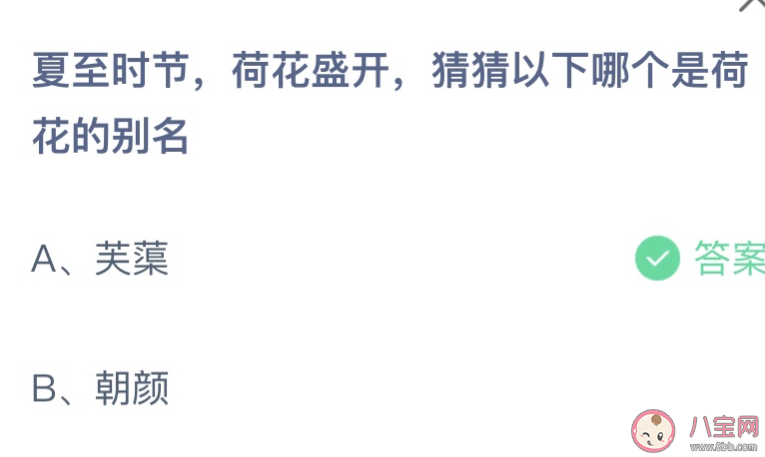 以下哪個(gè)是荷花的別名 螞蟻莊園6月21日答案