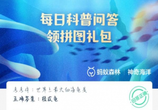 考考你世界上最大的海龜是什么 神奇海洋6月20日答案