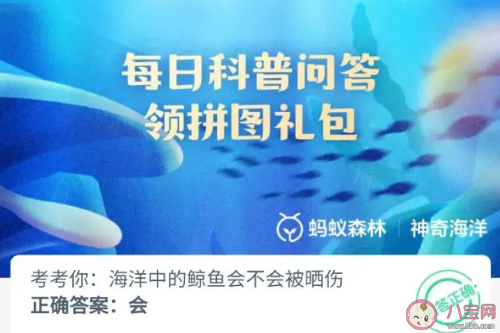 考考你海洋中的鯨魚會不會被曬傷 神奇海洋6月25日答案