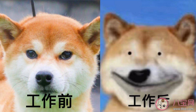 研究發現越工作越丑是真的嗎 工作太忙為什么會變丑