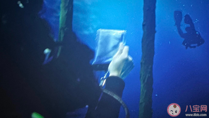 《消失的她》李木子的氧氣罐是自己拔的嗎 結尾何非后悔了嗎