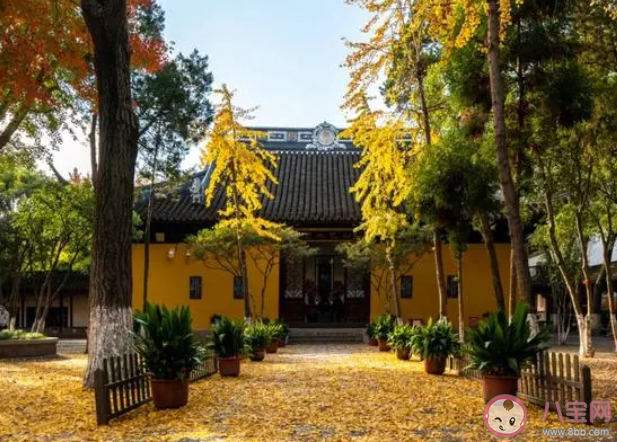 當人們在某方面讓人有好印象其他方面也更容易被肯定這被稱為 螞蟻新村6月29答案介紹