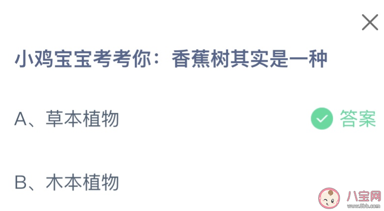 香蕉樹其實是一種什么植物 螞蟻莊園6月30日答案