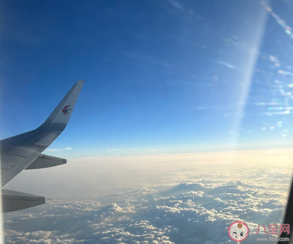 坐飛機為什么要對號入座 飛機上為何不能隨意改座