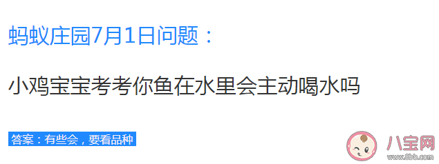 螞蟻莊園魚在水里會主動喝水嗎 7月1日答案介紹
