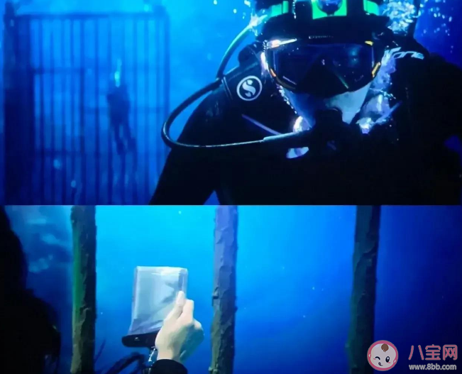 《消失的她》李木子最后為什么摘掉了護目鏡氧氣罩 為什么在海里李木子會進鐵籠子