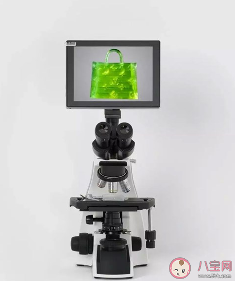 比鹽粒還小的手提包賣出46.2萬是真的嗎 為什么這款包包這么貴